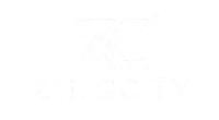 zingcity - Invoidea client